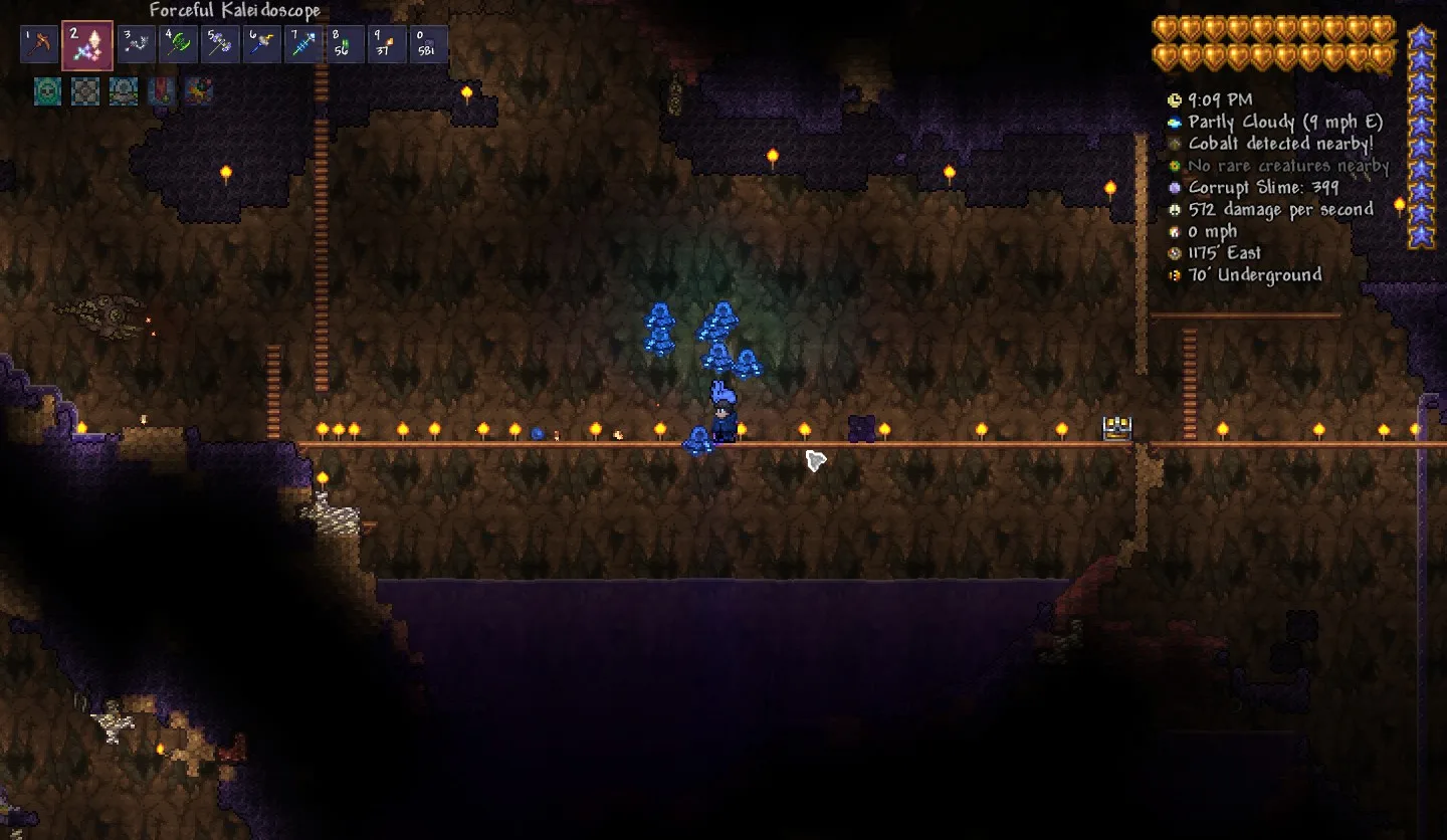Calamity's Vitalities screenshot 5