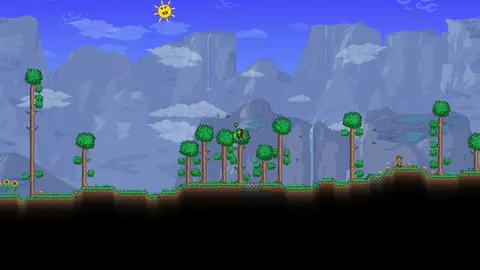 Happy Suns