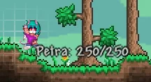 Petra The Guide Imp screenshot 5