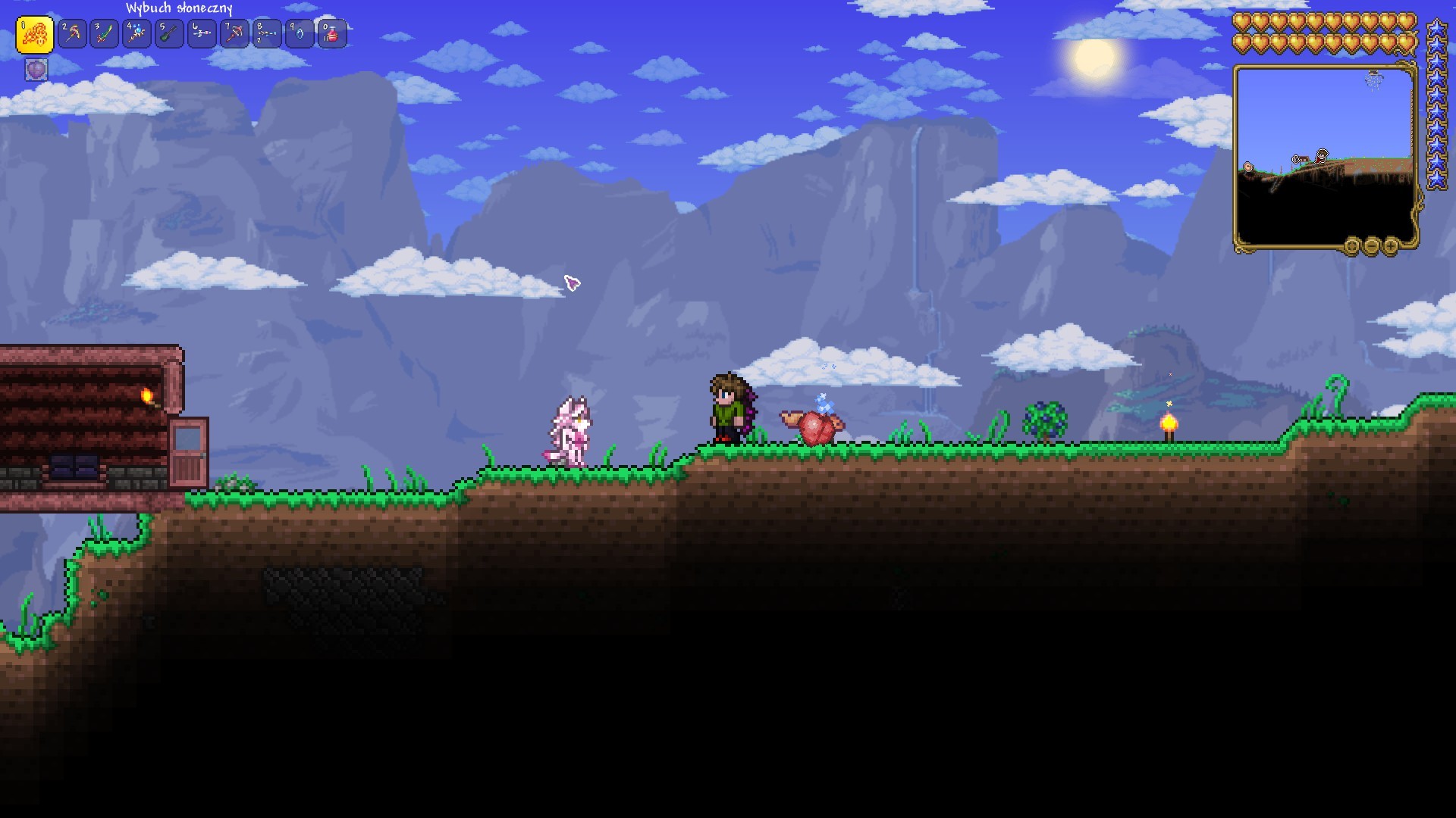 Zoologist terraria rule 34